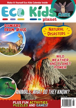 Eco Kids Planet (Bookazine)