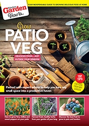 How to... Grow Patio Veg